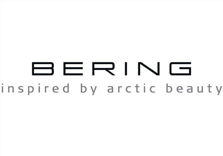 BERING Partner Logo